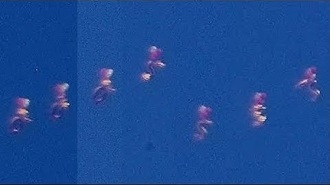 Morphing Anomaly forming digits "0" and "5" 08/23/15 6:01pm EST.