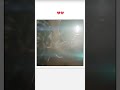 New video by One Music Network by DRM on YouTube