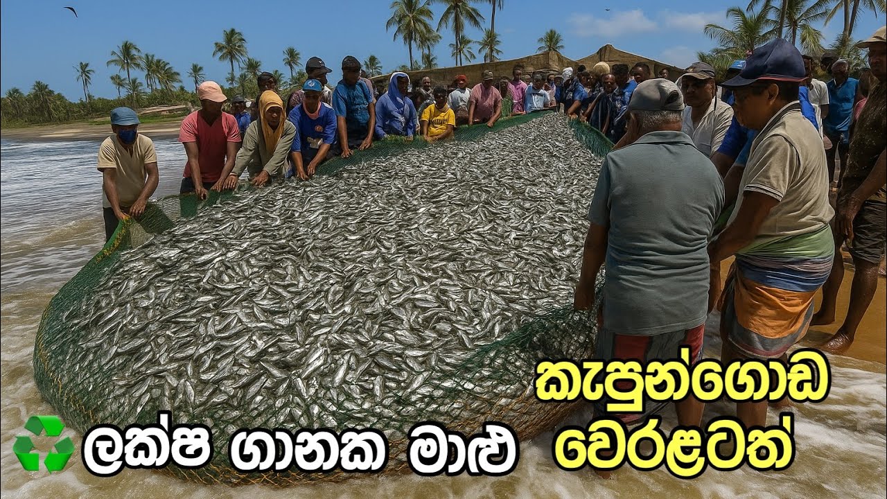 ලක්ෂ ගානක මාළු කැපුන්ගොඩ පුංචිවැල්ලට| ඔරුව පෙරලුනත් මුහුදු රස්සාව තමයි ජීවිතේ #fishing #fishingvideo