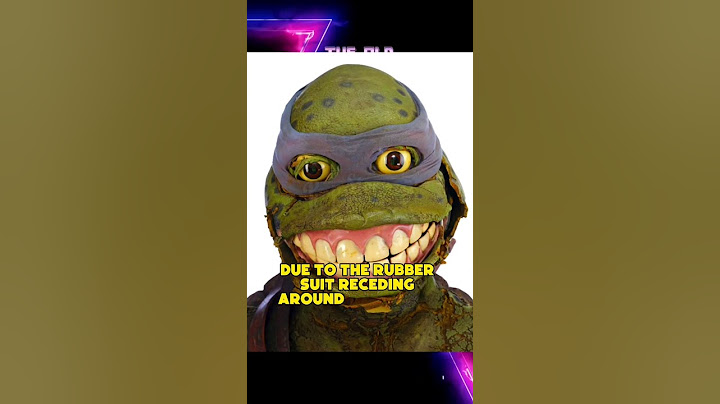 Rotten Leonardo Ninja Turtles Suit from the 90s