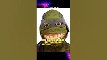 Rotten Leonardo Ninja Turtles Suit From The 90s 