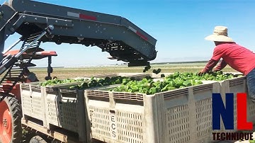Cool and Powerful Agriculture Machines That Are On Another Level Part 21