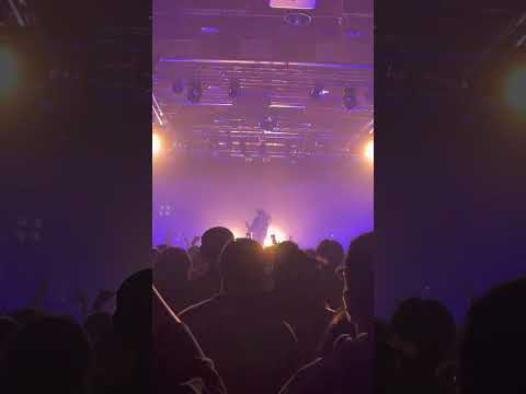 Yappy - 賽鴿