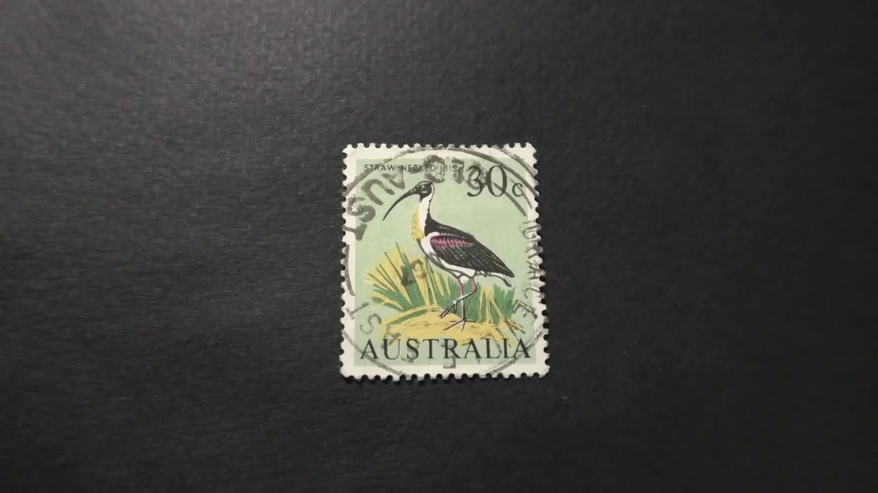 Postage stamp. Australia. Straw-Necked Ibis. Price 30 cents. 