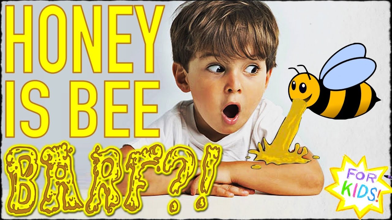 Is Honey BEE BARF?? All About Honey! - YouTube