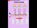 Tunnel Wiring Circuit with 4 Two-Way Switches ๐ ๏ธ