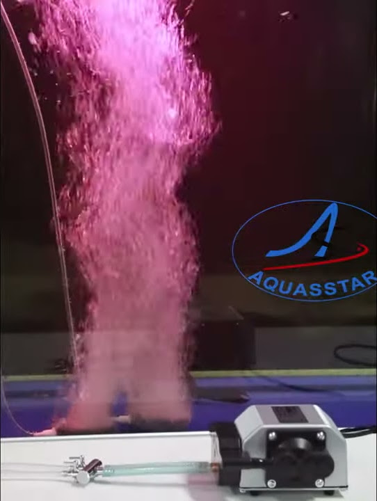 Aquasstar India Youtube