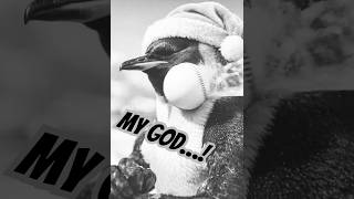 The polar bear is a master of magic balls. #shorts #ai #animalmemes #funny #penguin