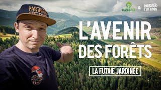 La futaie jardinée : L' Avenir des forêts a déjà 130 ans !