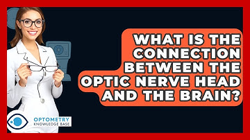 What Is The Connection Between The Optic Nerve Head And The Brain? - Optometry Knowledge Base