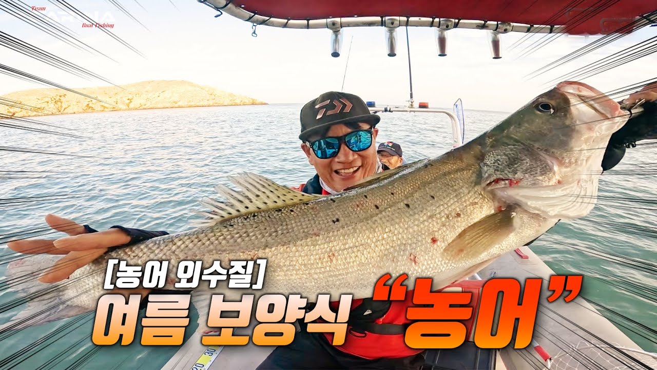 농어 외수질 낚시(여름 보양식 “농어”)