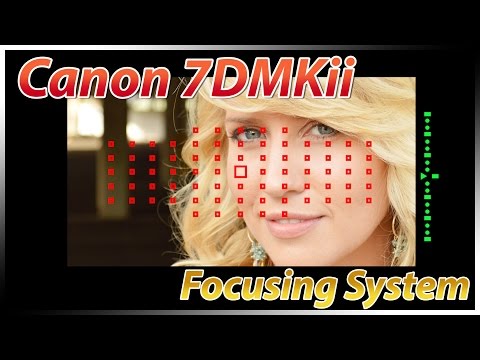 Canon 7Dii Focusing