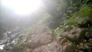 WP 20150803 11 11 27 Pro