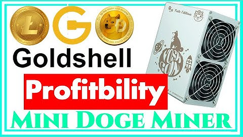 【THE END】How To Fix Crash Goldshell Doge Coin Miner & Profits
