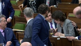 Liberal MP collapses during House of Commons debate