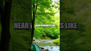 Finding Safe Natural Shelter