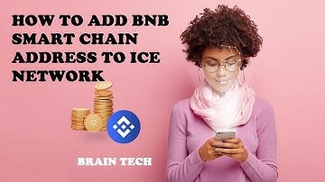 How To Add BNB Smart Chain Address To Ice Network