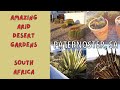 Arid desert plants of paternoster western cape flora south africa