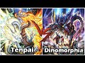 Yugioh locals  round 1  tenpai vs dinomorphia