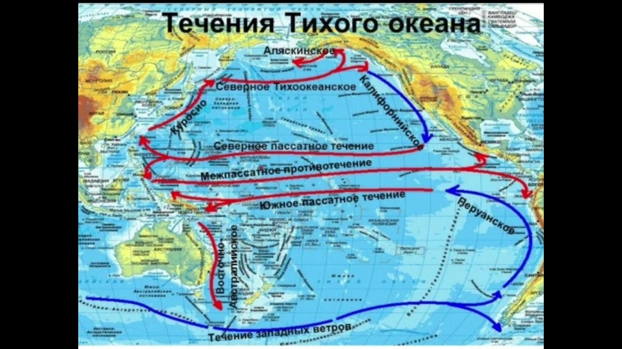 Калифорнийское океаническое течение