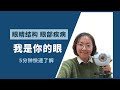 5分钟快速了解眼睛结构和眼部疾病 || Learning eye anatomy and common eye disease in 5min