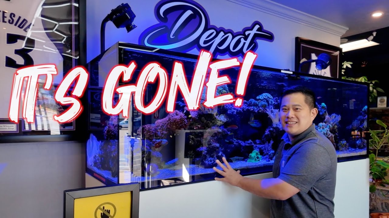 GETTING READY FOR THE RED SEA G3 S1000 BUILD SERIES PART 2