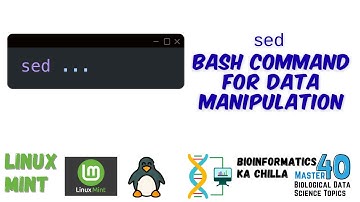 sed BASH Command in Linux for Data Science and Bioinformatics | Text Processing Made Easy