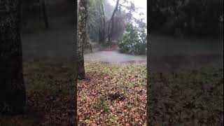 Storm dumps heavy rain on James Island, South Carolina