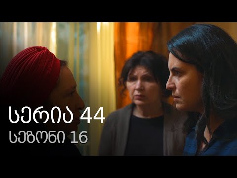 ჩემი ცოლის დაქალები - სერია 44 (სეზონი 16)