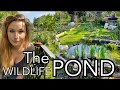 The Wildlife Pond || Plot 37
