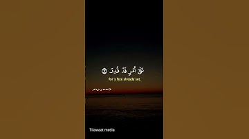 @القارئ احمد العجمي/ #اكسبلور #تلاوة #دويتو #تيك_توك #تلاوة_خاشعة  سورة القمر @tilawaatmedia