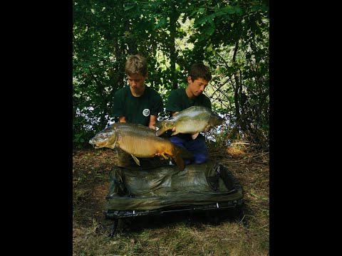 Video: Ribnik V Njihovi Poletni Koči