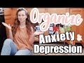 ORGANIZING WITH DEPRESSION & ANXIETY UNDER THE SINK ORGANIZATION SIMPLE CLEAN HOUSE WITH DEPRESSION