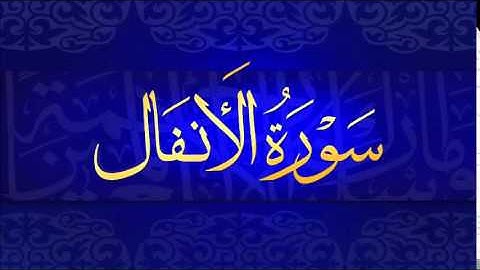 سورة الأنفال للشيخ بندر بليلة