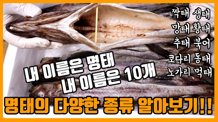명태의 다양한 종류 알아보기!!!