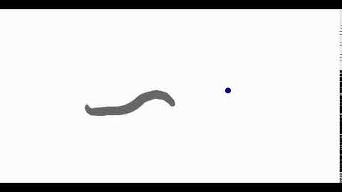 C.elegans Whole Integration generated Forward locomotion (neural stimulus+feedback ).