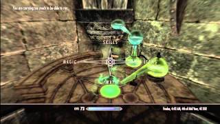 Skyrim HVG #4 - Best Legit Potion/Poison (New Record 15,654)