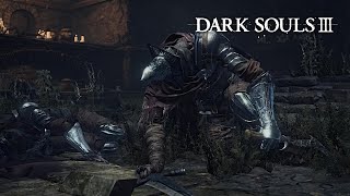 Dark Souls 3 - Abyss Watchers Boss Fight No Damage