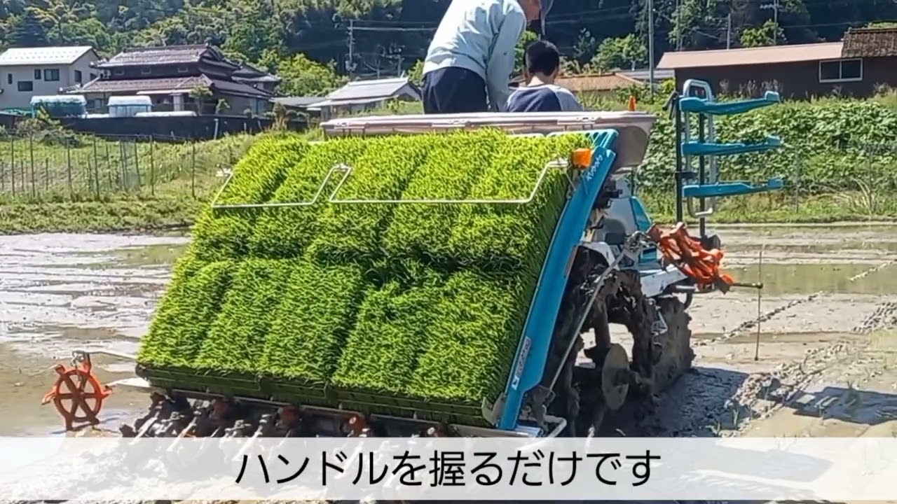八チャン家の田植え令和8年版 - YouTube
