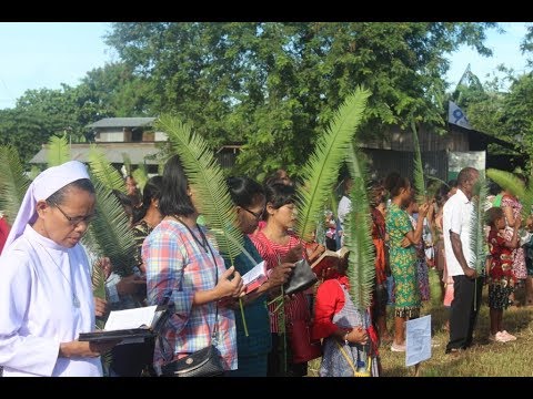 Minggu Palem Di Paroki Santa Maria Fatima Kelapa Lima Merauke