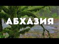 АБХАЗИЯ ВПЕРВЫЕ ЗДЕСЬ🌿Озеро Рица, Голубое озеро💧Пробуем Абхазские ВИНА🍷