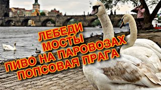 Прага. Карлов мост. Ресторан с паровозами Прага. Карлов мост. Ресторан с паровозами