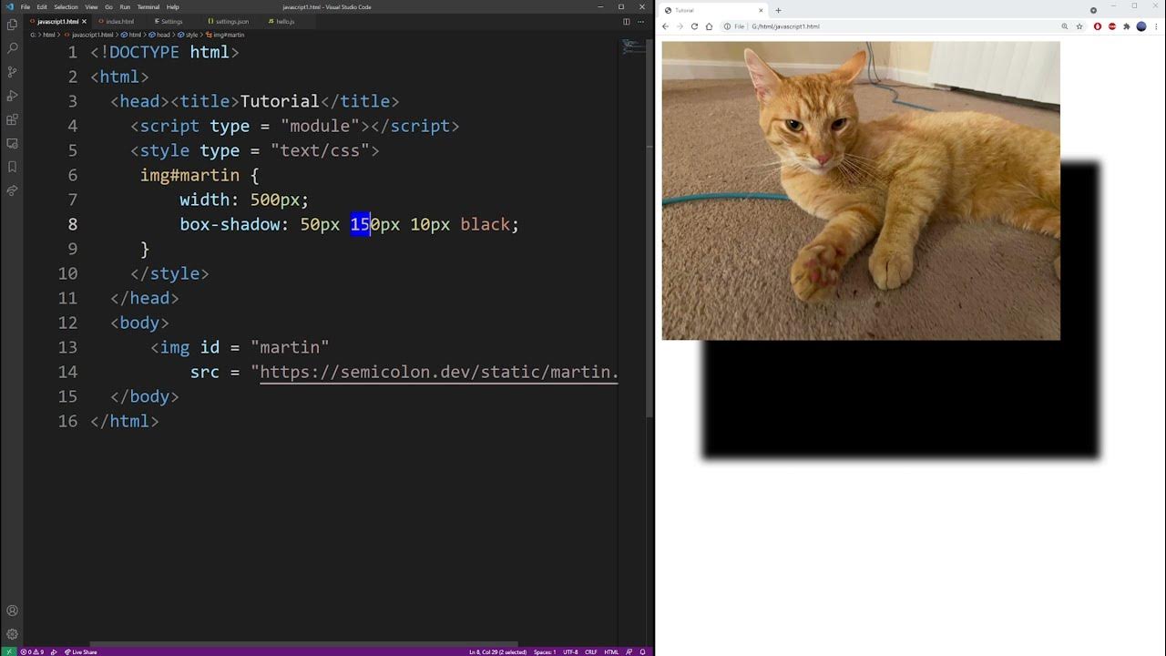CSS how to add drop shadow to images (box shadow) - YouTube