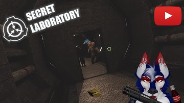 The Average SCP Secret Lab Experience