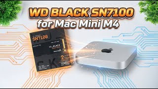 🔥 WD Black SN7100 for Mac mini M4 — Works for Editing | 4K