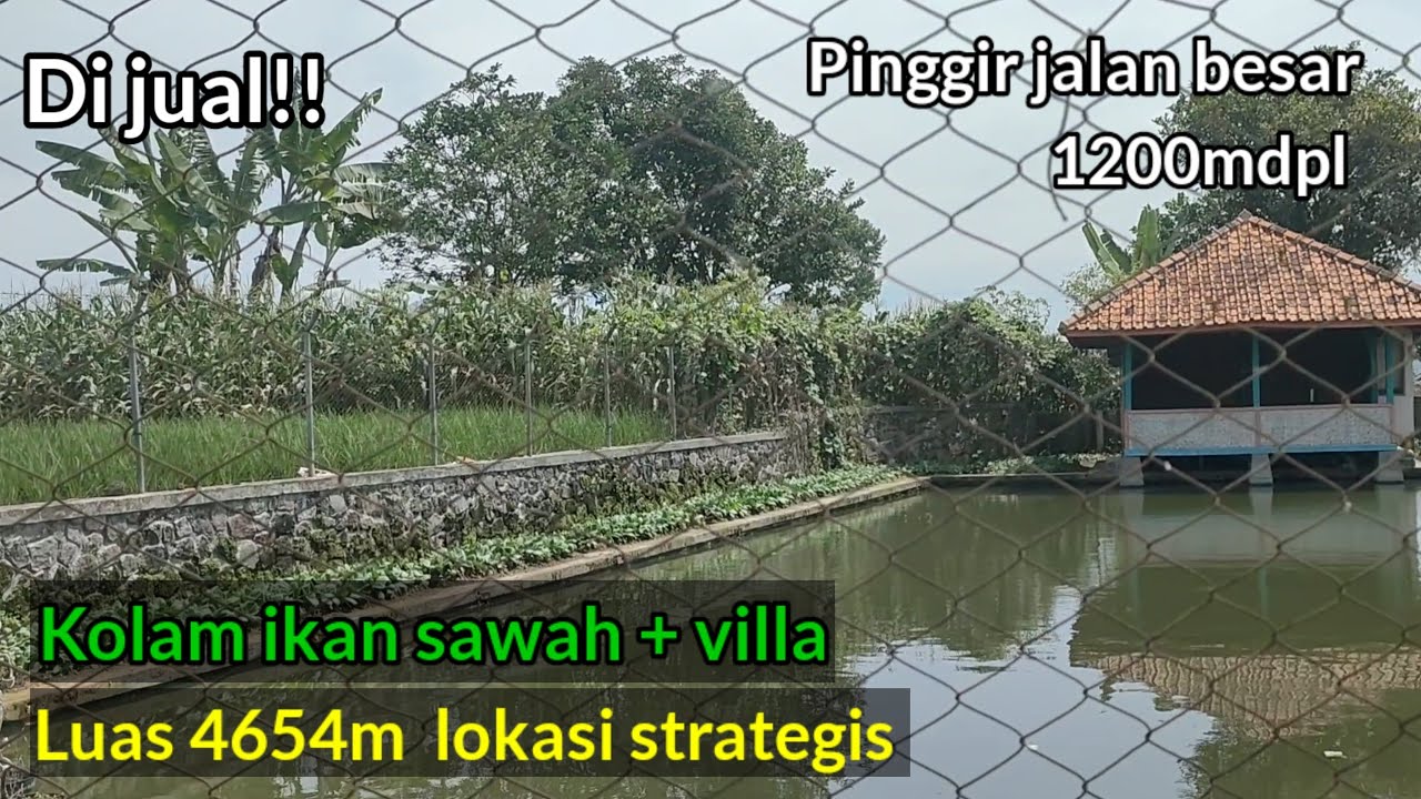 Di jual!!Sawah villa+Kolam ikan Luas tanah 4654meter lokasi strategis pinggir jalan 
