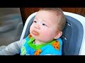 Baby's Reaction First Time Eating Baby Food