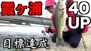 早春の霞ヶ浦でヨンマル捕獲完了の巻