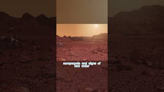Credit: SEA — The Space Race [4K] #fyp #SEA #race #soil