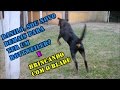 Danilo, sou novo demais para ter um Rottweiler? / Brincando com o Blade.